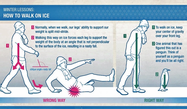 Penguin discount walk exercise