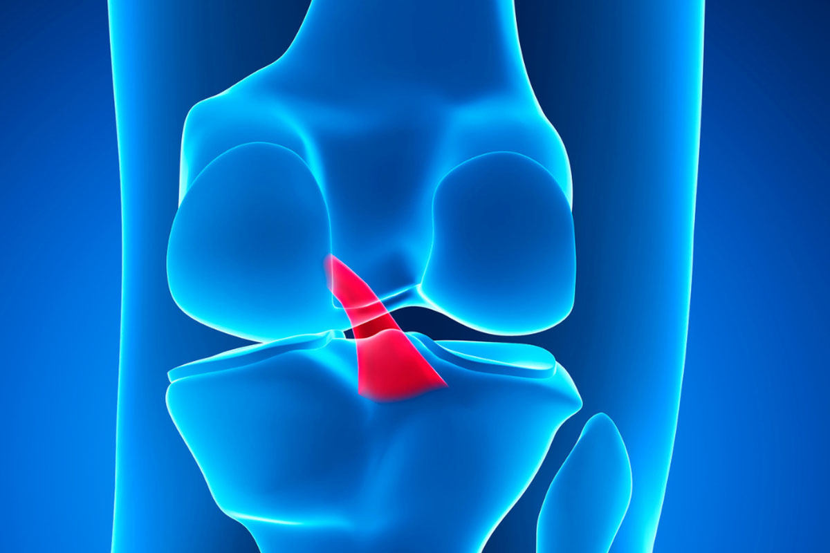 Knee Pain Head2Toe Physio