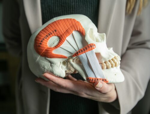 Facial Muscles That Influence Temporomandibular Dysfunction (TMD)